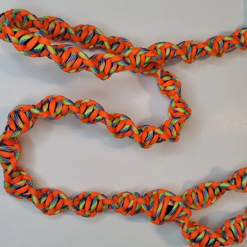 DNA style Pet Leash