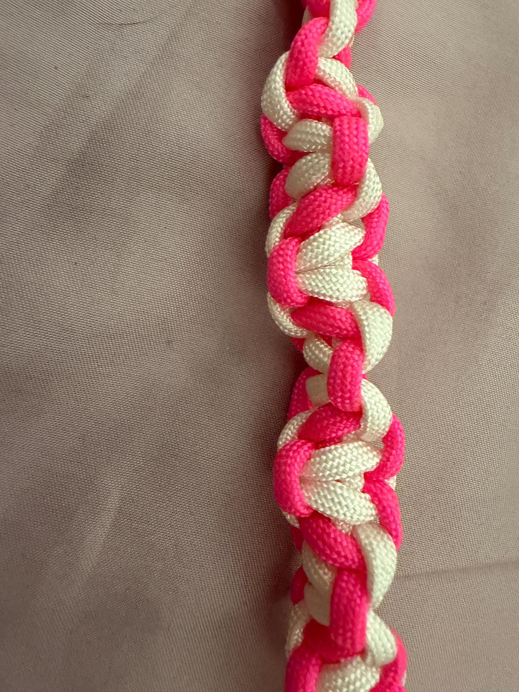 heart shaped braided leash and collar
